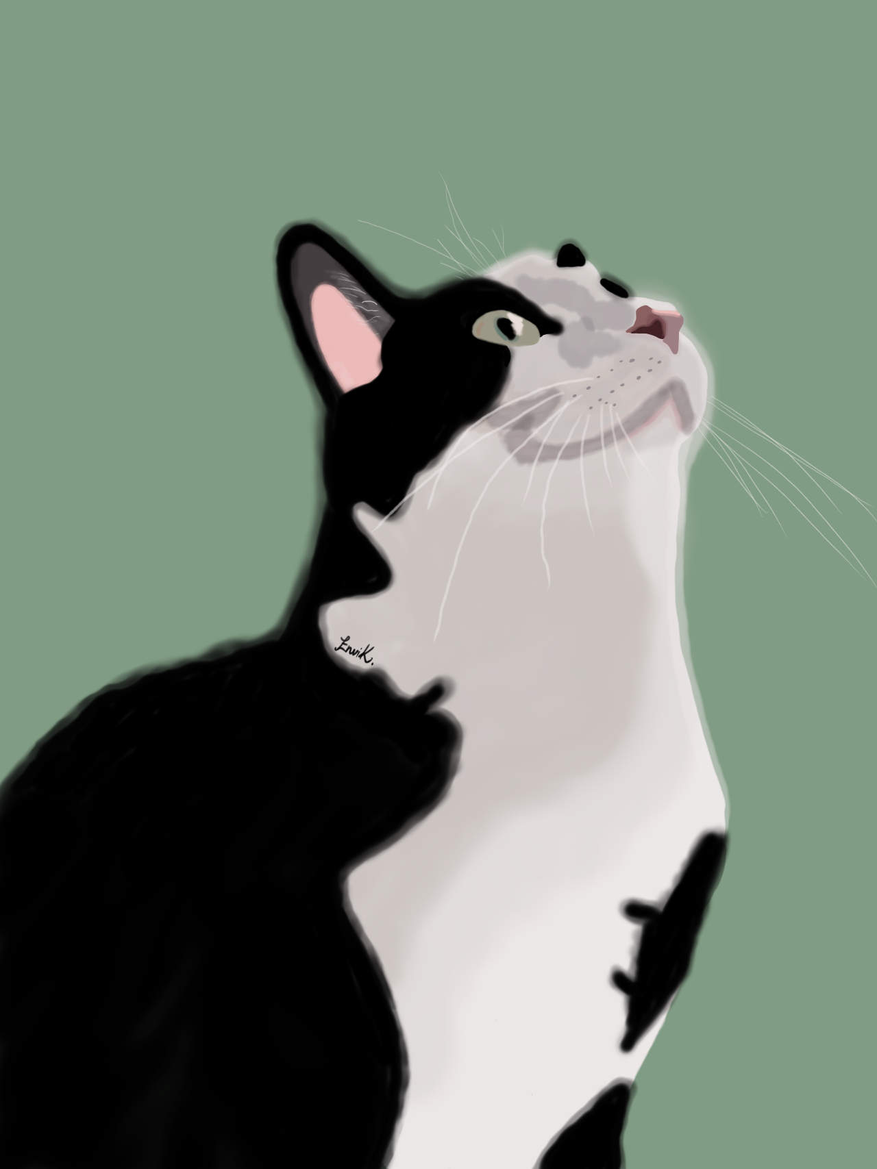 Bean the InkMind cat artwork - phone wallpaper size